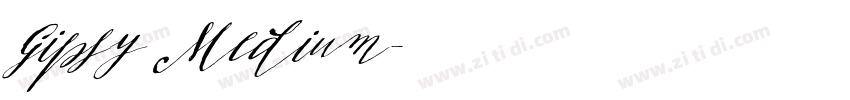 Gipsy Medium字体转换